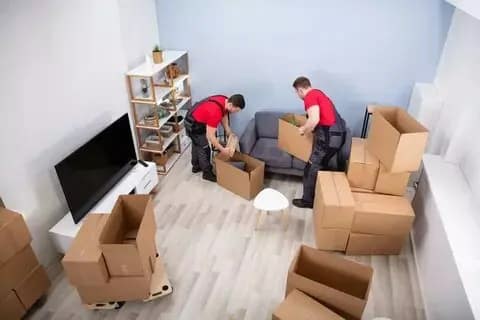 Furniture Dismantling Carpenter